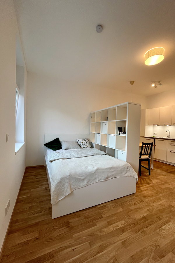 Bright studio with kitchenette & room divider – 1-room apartment for short-term rental, temporary housing in Vienna, 1 to 6 months.