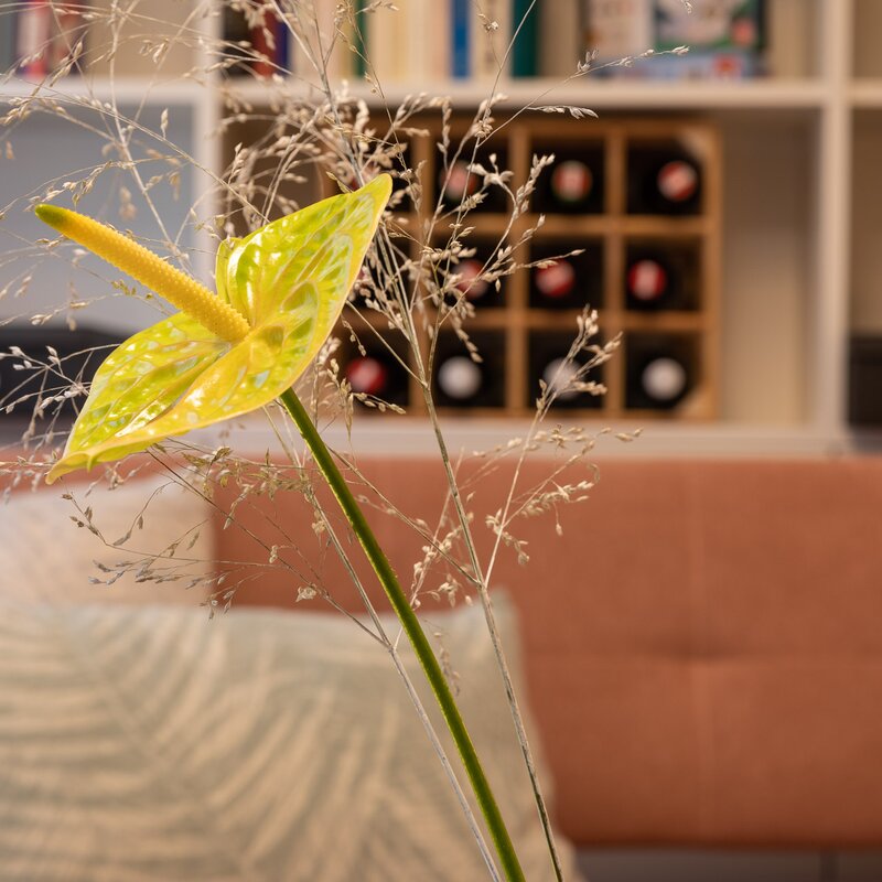 Wohnzimmer | © Manfred Sodia