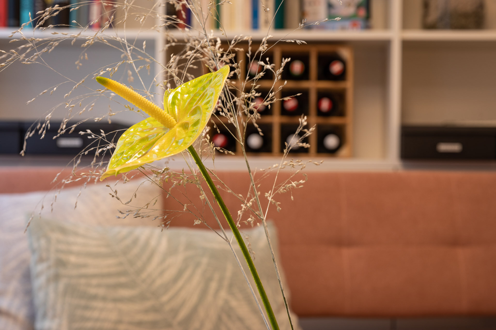 Wohnzimmer | © Manfred Sodia