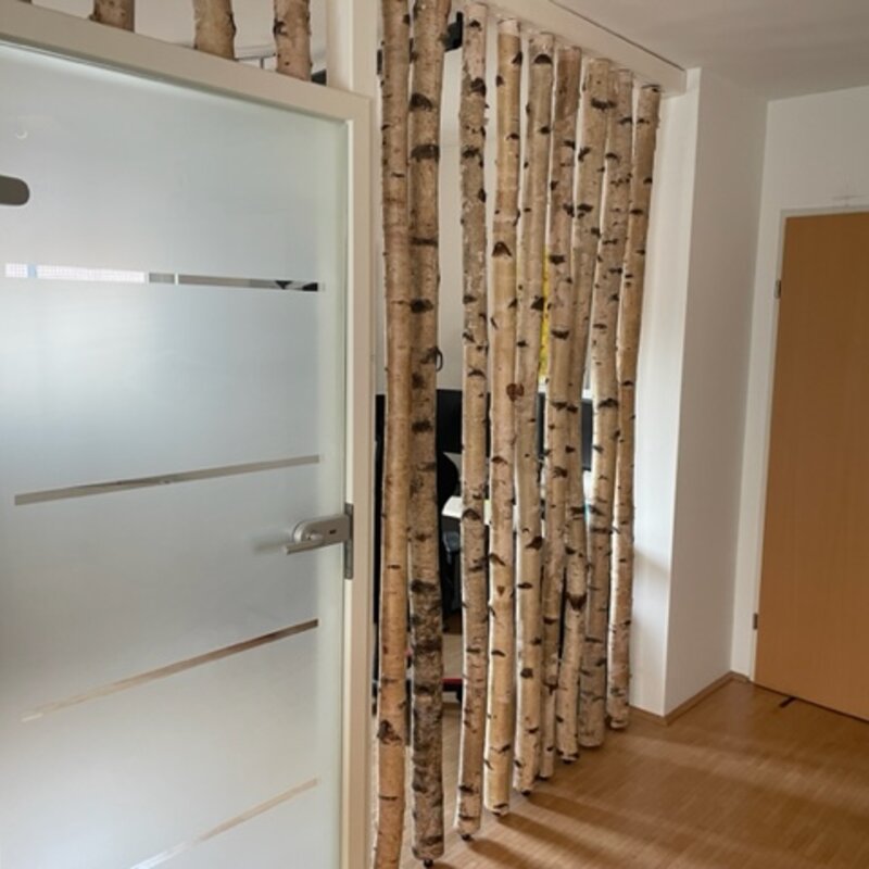 Birken-Raumteiler zum Essbereich