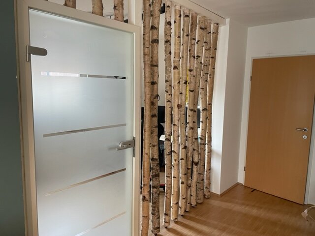 Birken-Raumteiler zum Essbereich