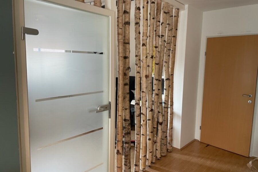 Birken-Raumteiler zum Essbereich