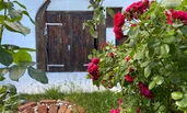 Garten1