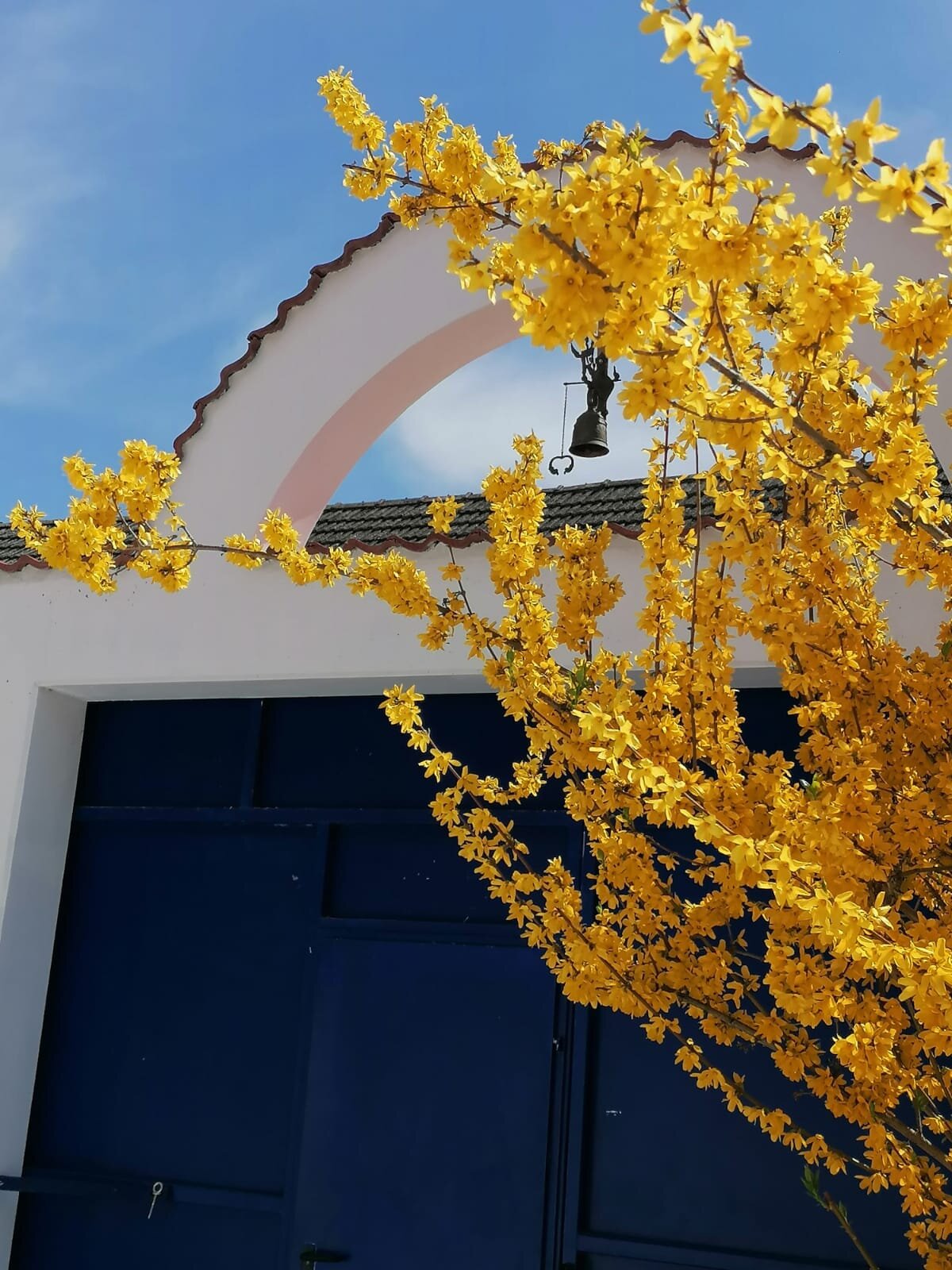 Blooming forsythia by charming facade – House Brandnerhof for short-term rental & temporary housing for 1 to 6 months in Gols