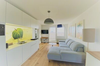Open living area with modern kitchen – 2-room apartment, short-term rental, temporary housing for 1 to 6 months, Vienna