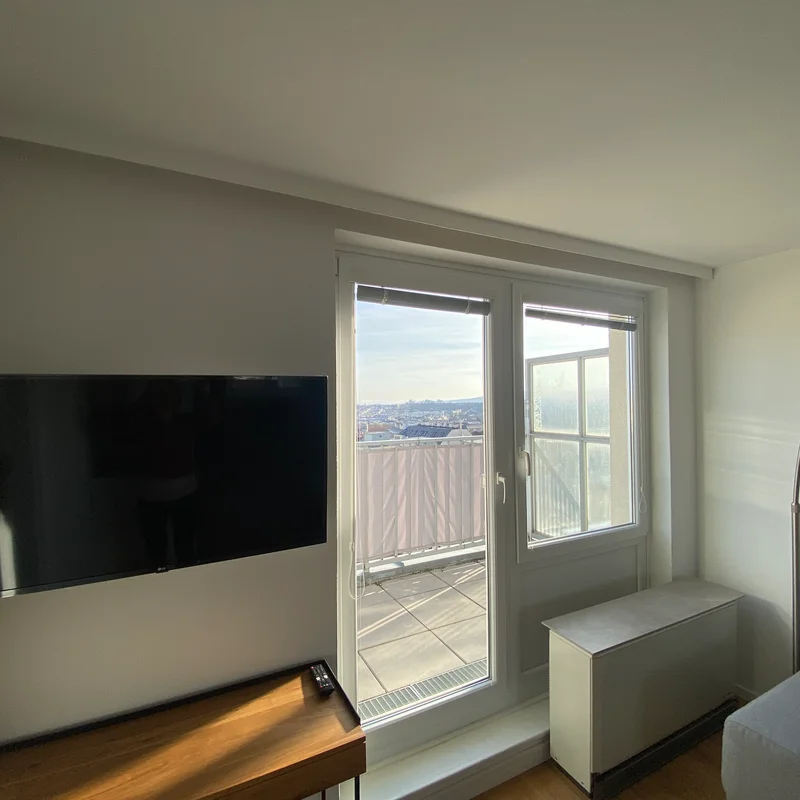 TV - Ausblick Terrasse