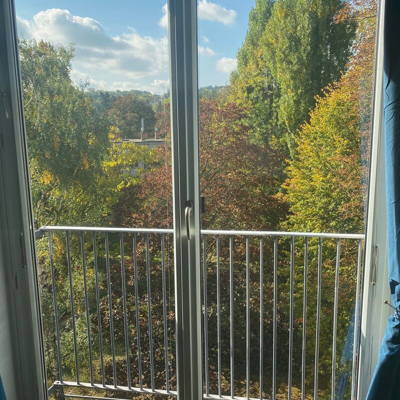 Französischer Balkon