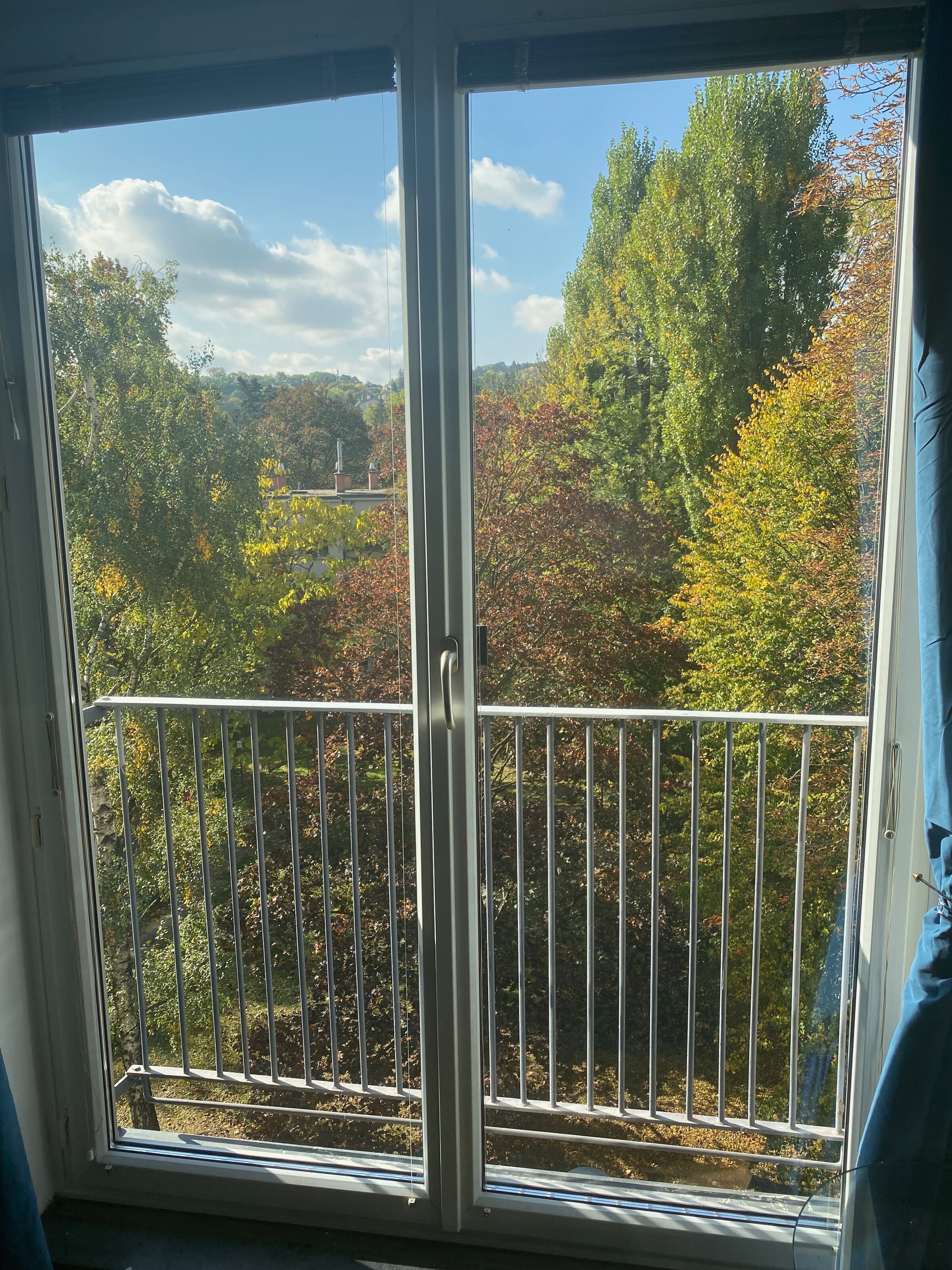 Französischer Balkon