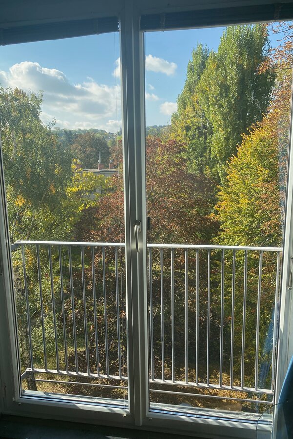 Französischer Balkon