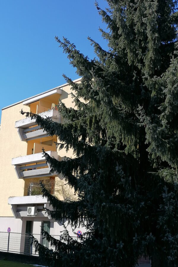 Mehrfamilienhaus mit Balkon – 1-Zimmer Wohnung zur Kurzzeitmiete & Wohnen auf Zeit für 1 bis 6 Monate in Klagenfurt