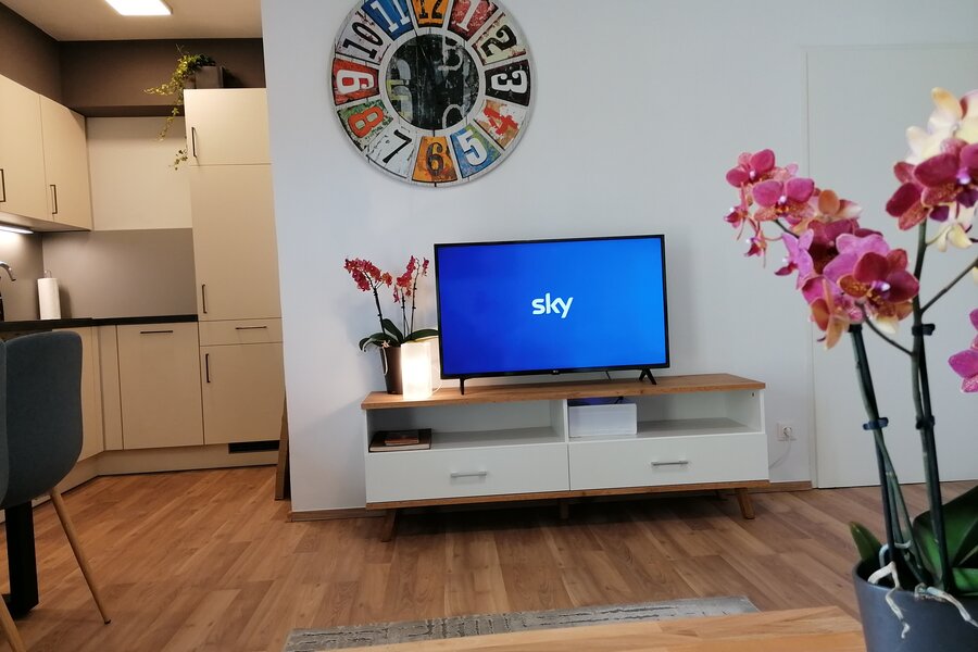 TV inkl Sky