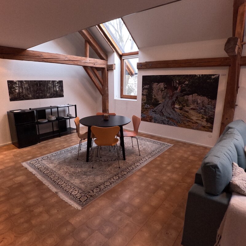 Heller Wohnbereich mit Dachbalken & Skylight – Sky-Loft Haus, Kurzzeitmiete & Wohnen auf Zeit für 1 bis 6 Monate, Pucking