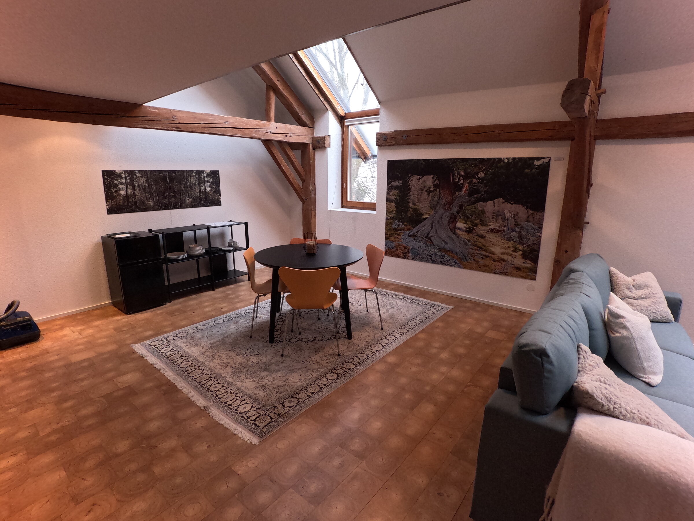Heller Wohnbereich mit Dachbalken & Skylight – Sky-Loft Haus, Kurzzeitmiete & Wohnen auf Zeit für 1 bis 6 Monate, Pucking