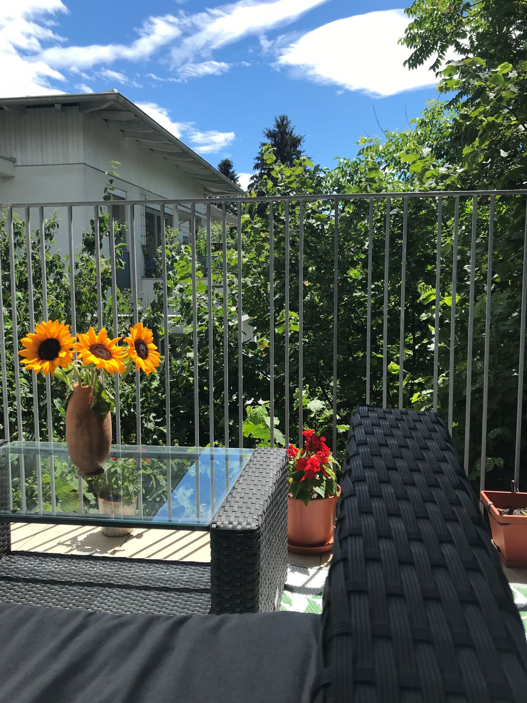 Genießen am extra großen Balkon mit Morgensonne