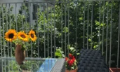 Genießen am extra großen Balkon mit Morgensonne