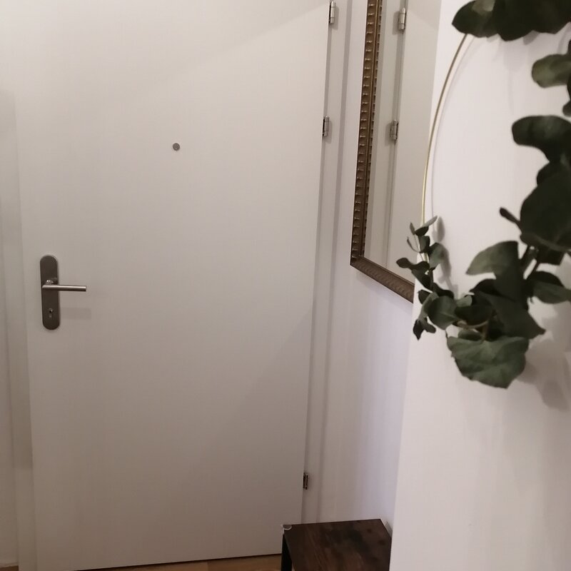 Eingangsbereich/Vorzimmer