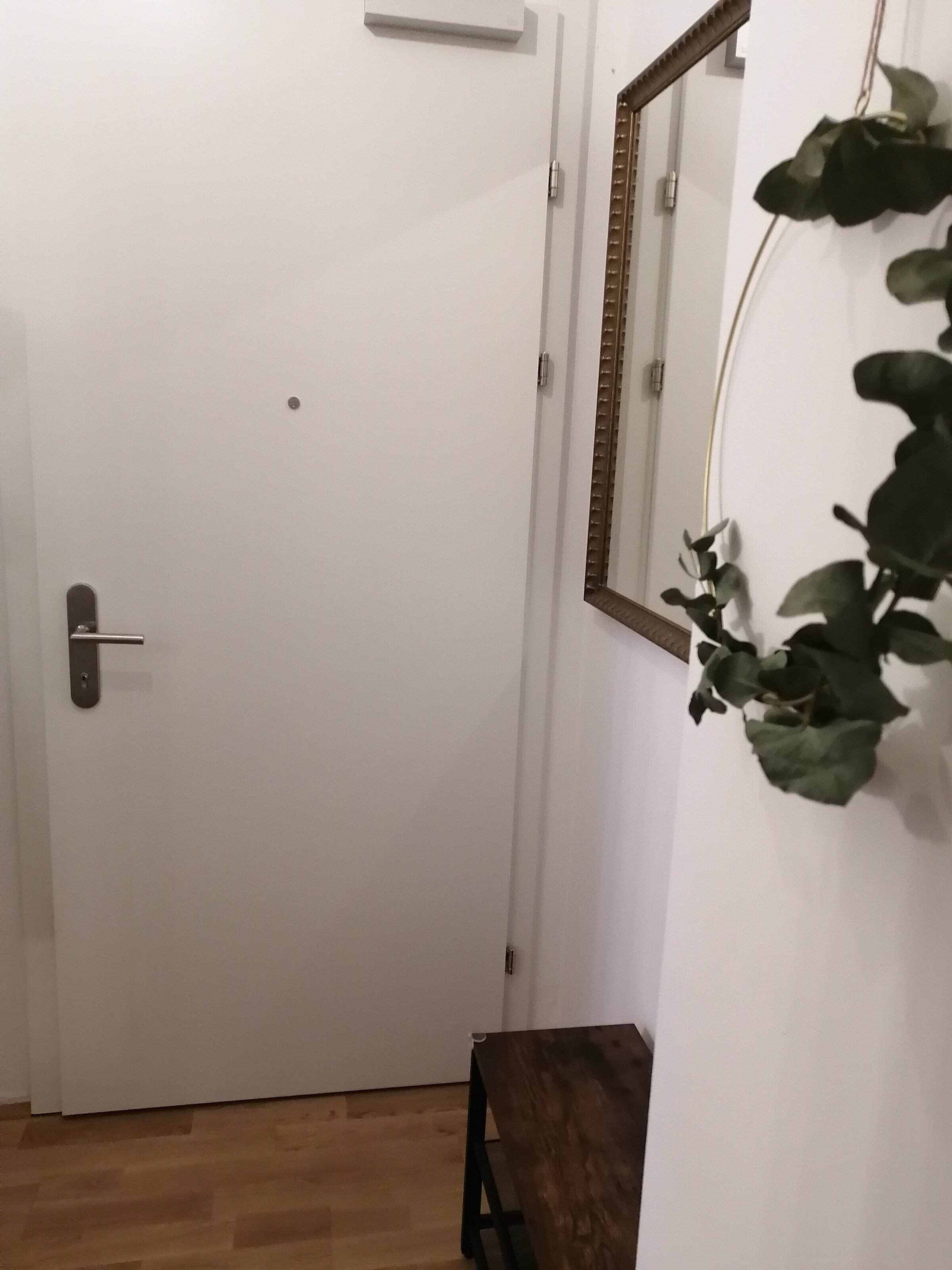 Eingangsbereich/Vorzimmer