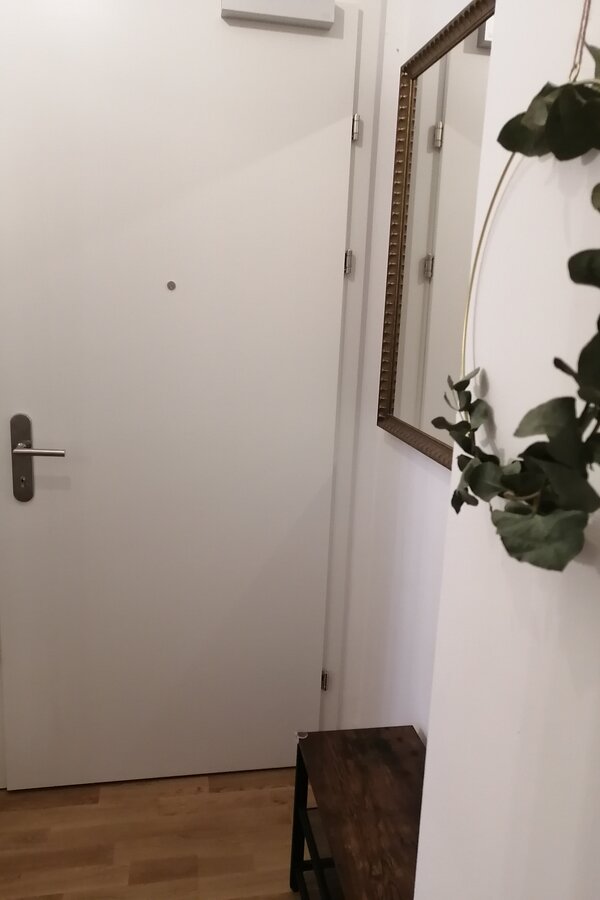 Eingangsbereich/Vorzimmer