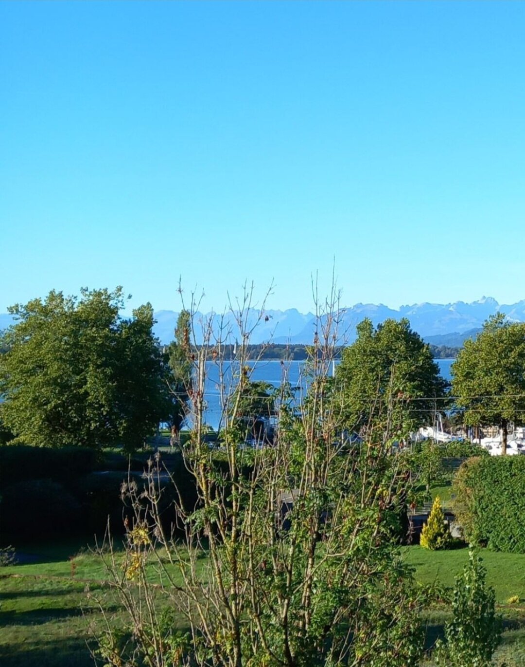 Bodensee, Zug, Bushaltestelle 3 min zu Fuß