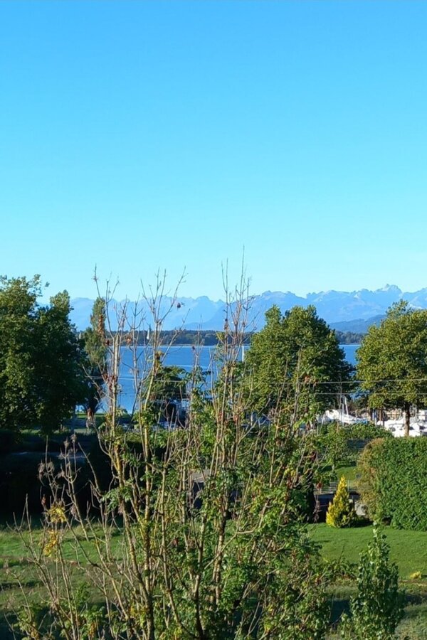 Bodensee, Zug, Bushaltestelle 3 min zu Fuß