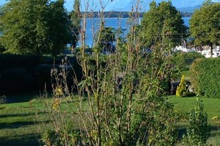 Bodensee, Zug, Bushaltestelle 3 min zu Fuß