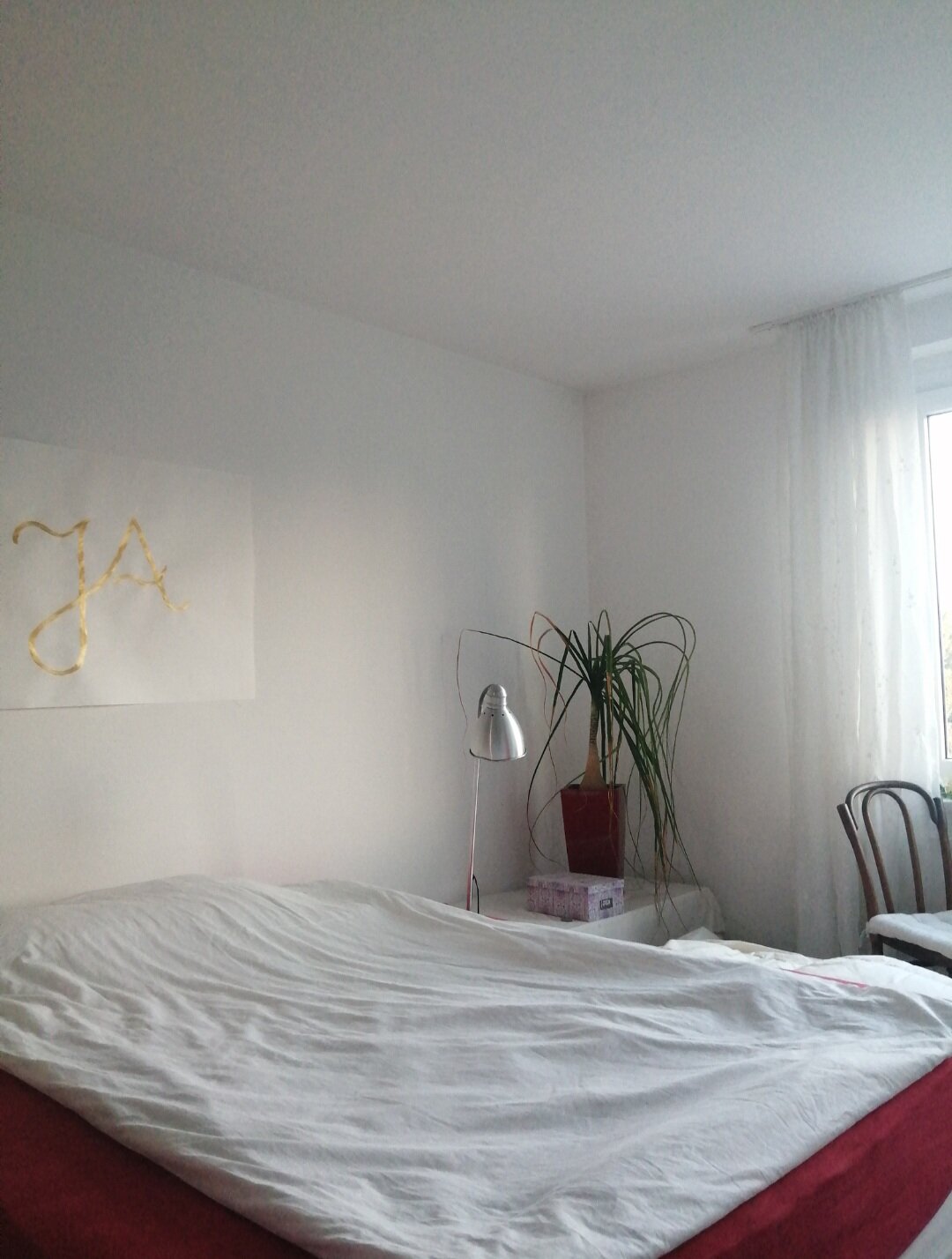 1,60m x 2m Bett