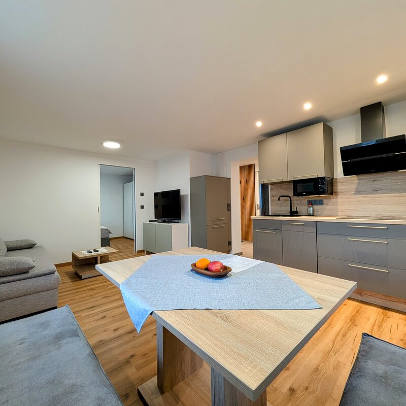 Bright open-plan kitchen & living area – 2-room apartment for short-term rental & temporary housing for 1 to 6 months in Salzburg