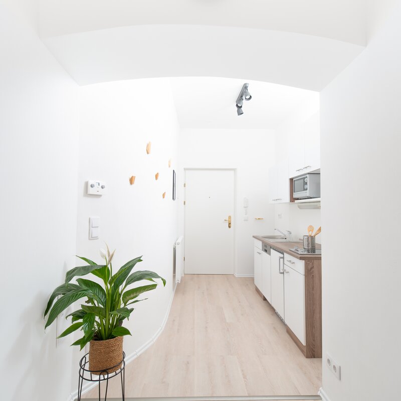 Kitchen and entrance area