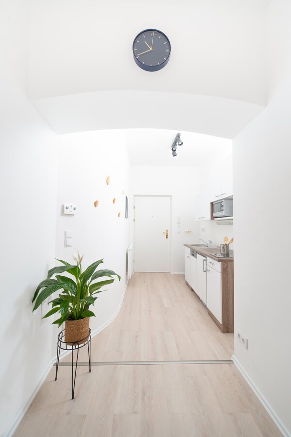 Kitchen and entrance area