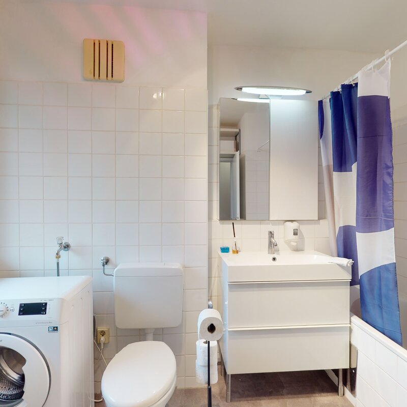 Badezimmer mit Wanne und Duschbereich, Waschmaschine. 