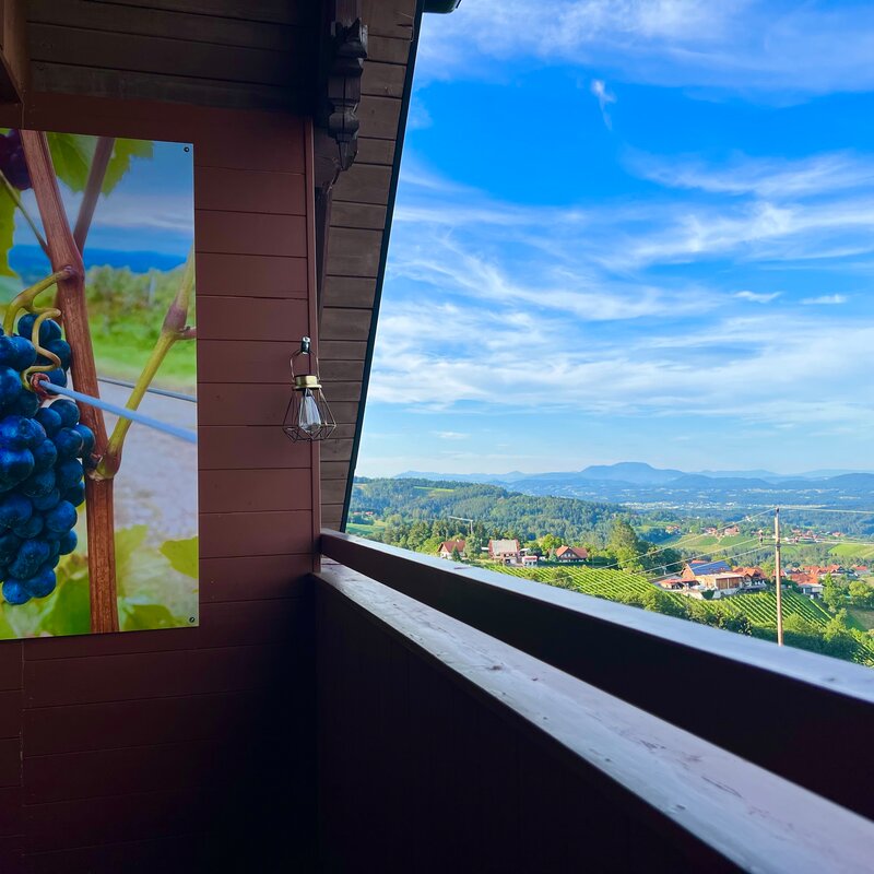 Balcony with vineyard view: 2-room apartment for short-term rental & temporary housing for 1 to 6 months in Sankt Stefan