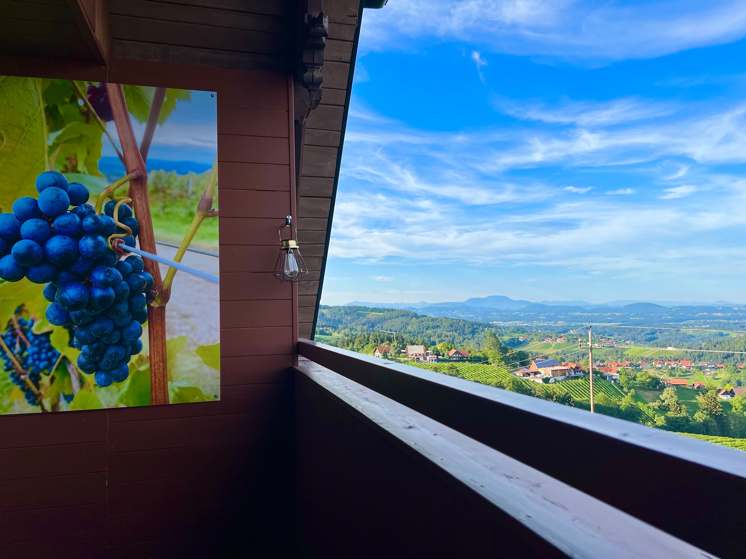 Balcony with vineyard view: 2-room apartment for short-term rental & temporary housing for 1 to 6 months in Sankt Stefan