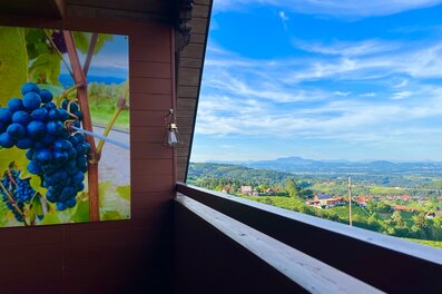 Balcony with vineyard view: 2-room apartment for short-term rental & temporary housing for 1 to 6 months in Sankt Stefan