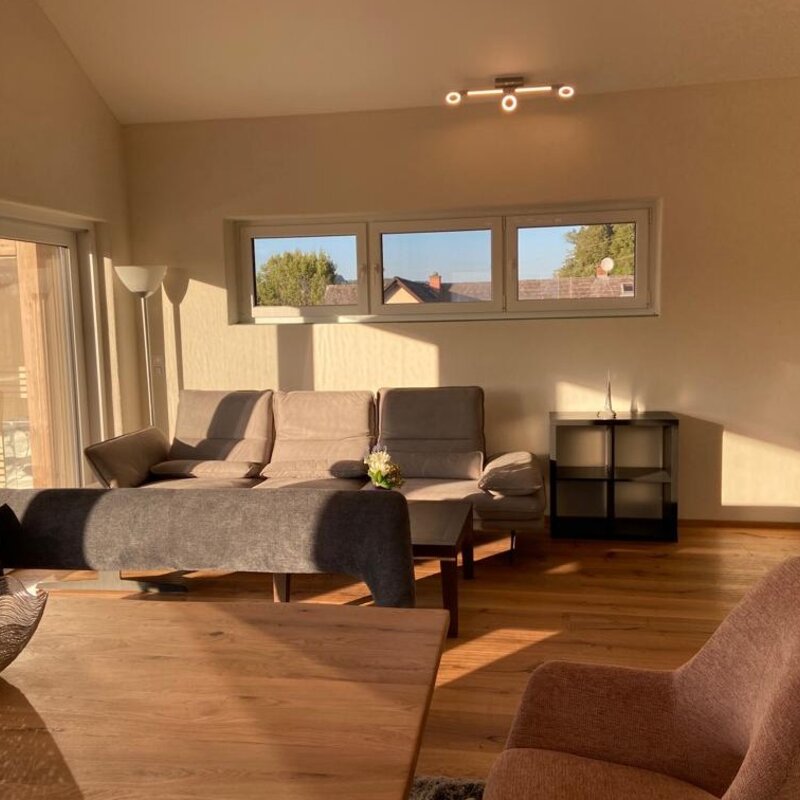 Living room with leather sofa
