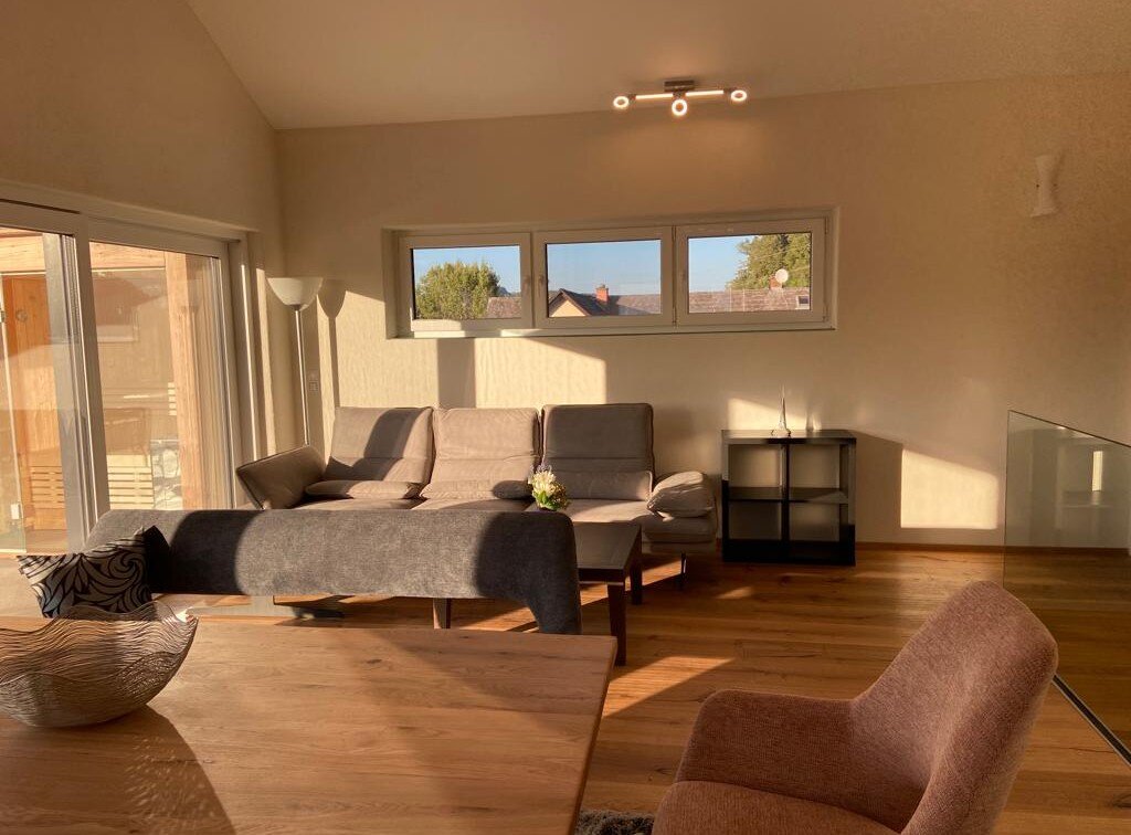 Living room with leather sofa