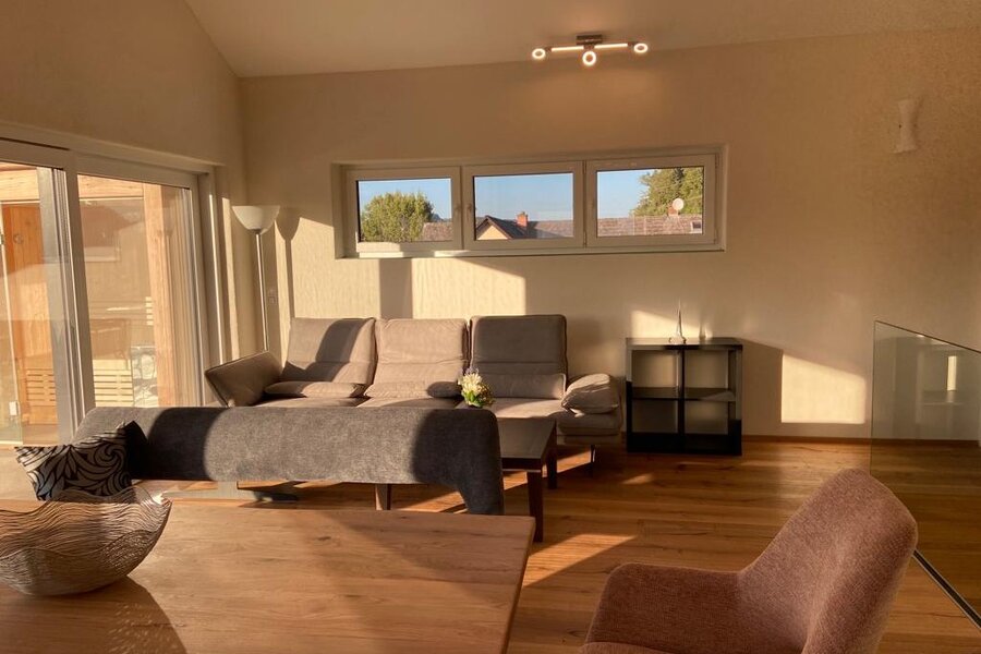 Living room with leather sofa