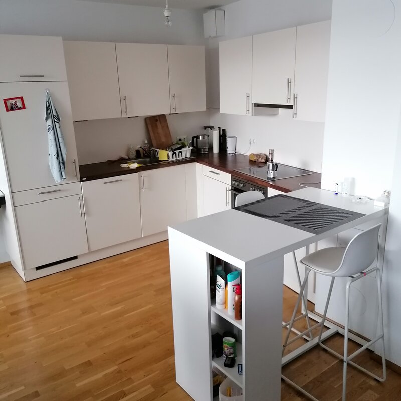 Grosser Wohnbereich mit offener Küche und Schlafzimmer