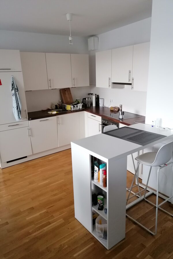 Grosser Wohnbereich mit offener Küche und Schlafzimmer