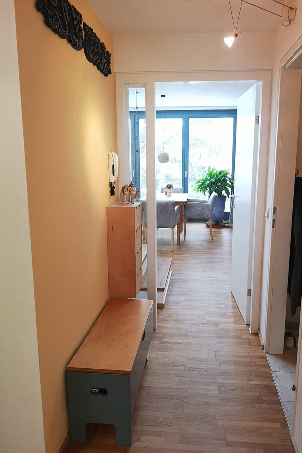 Eingangsbereich, Blick Richtung Wochnküche