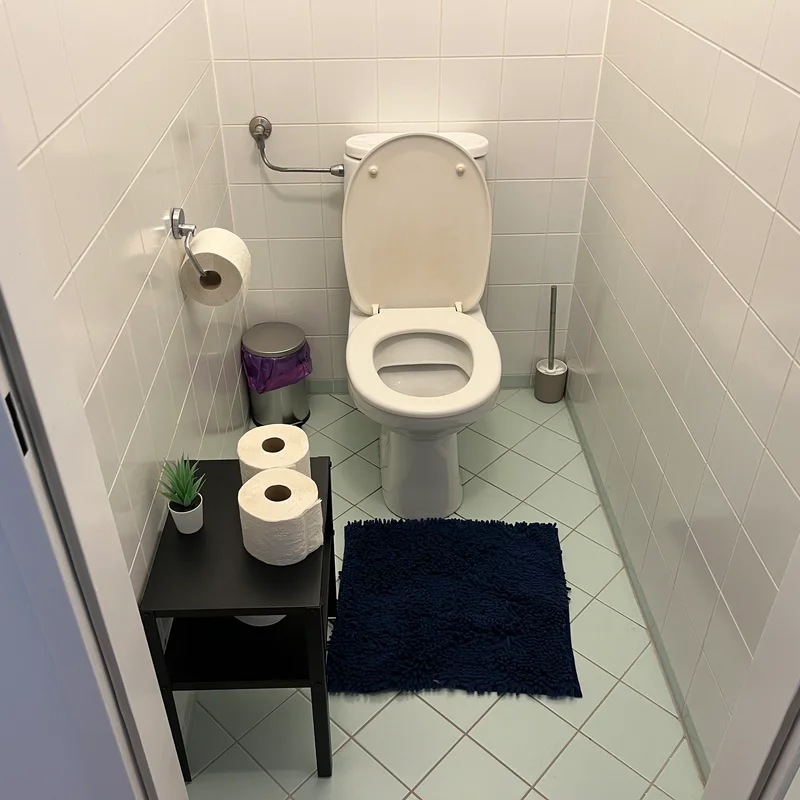separate toilet