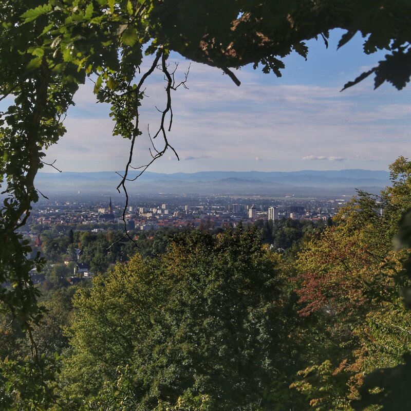 Aussicht