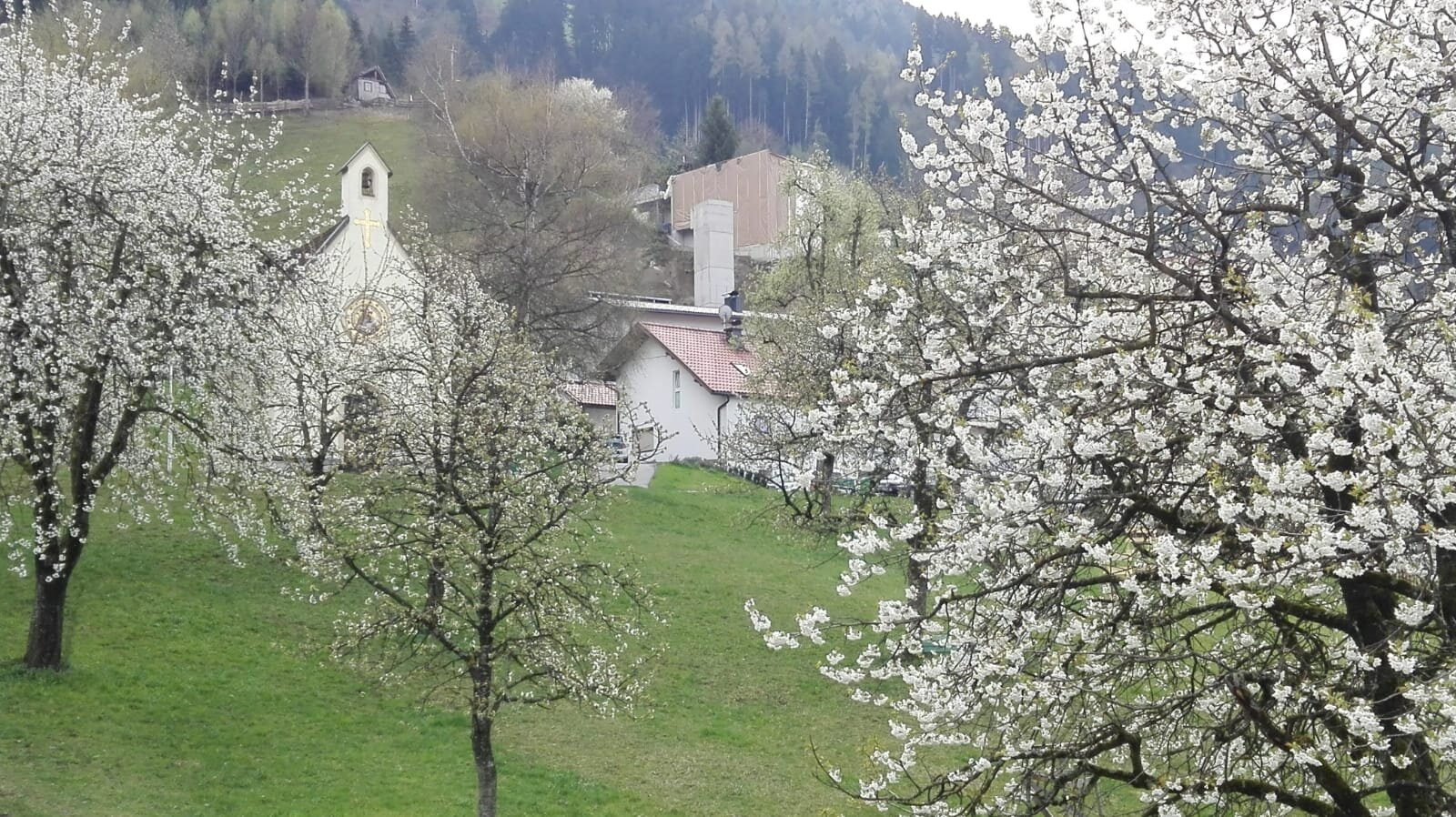 Bilick auf die Kapelle im Frühjahr