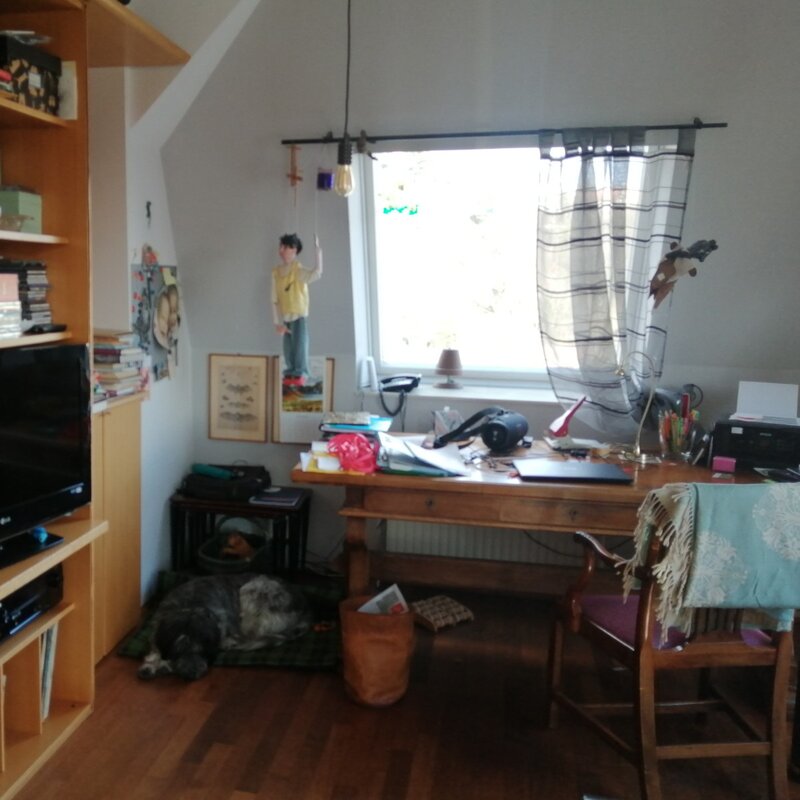 Wohnzimmer mit großem Schreibtisch und Wandverbau | © Elisabeth Faber