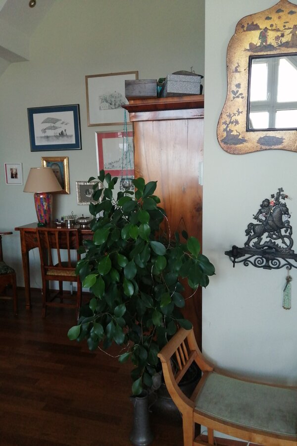 Essbereich mit Geschirrkasten | © Elisabeth Faber