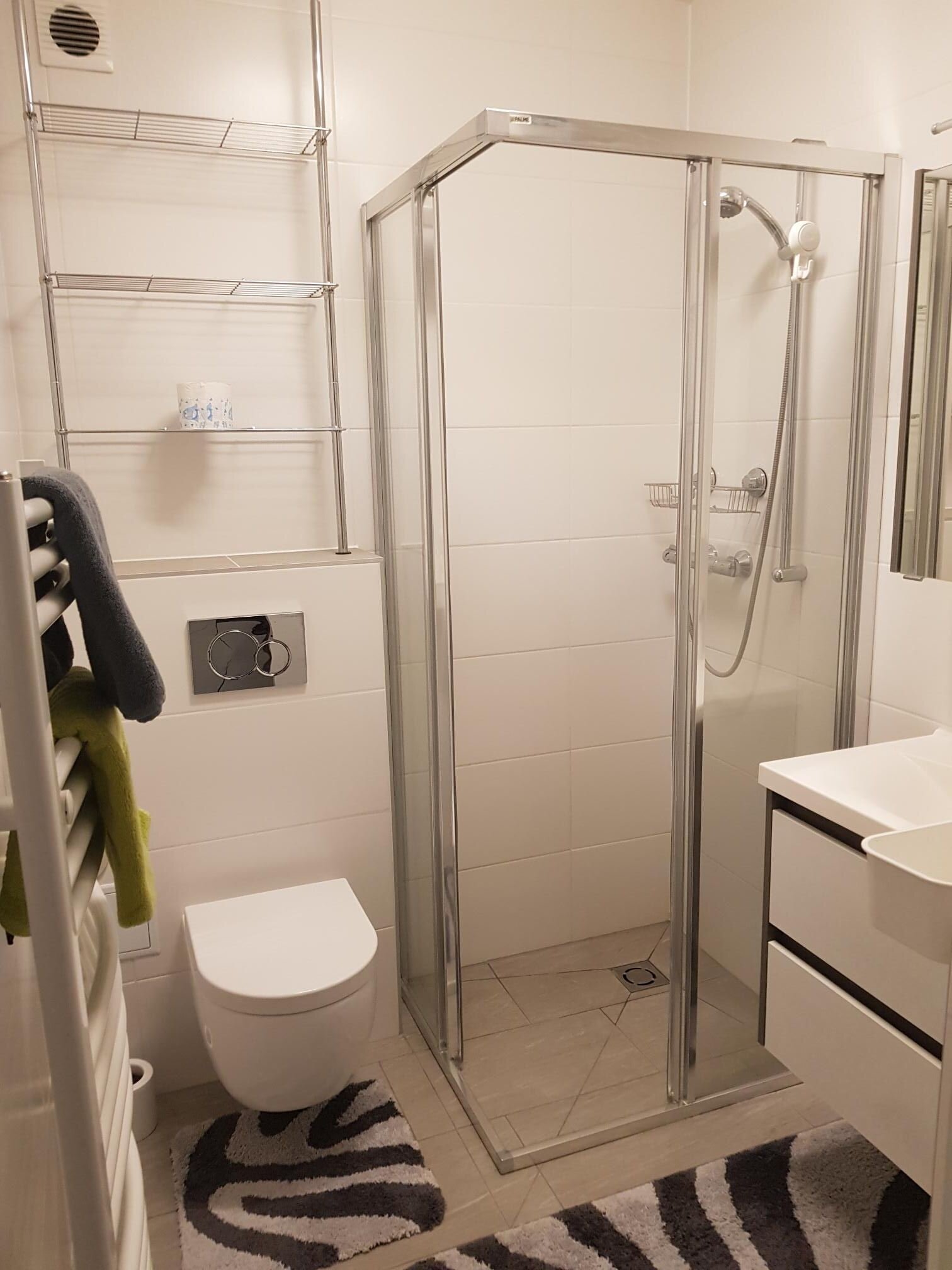 with shower and toilette