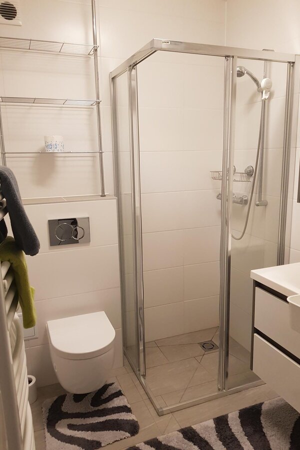 with shower and toilette