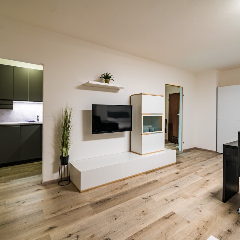 Cosy flat with large balcony