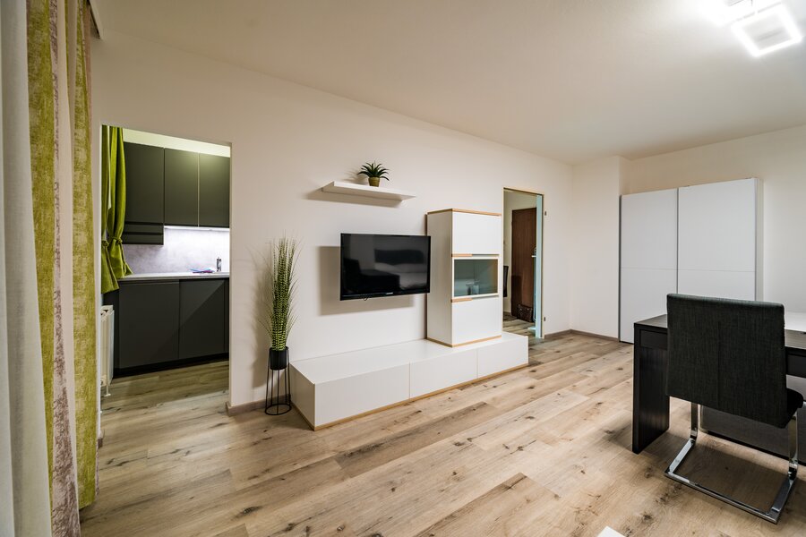 Cosy flat with large balcony