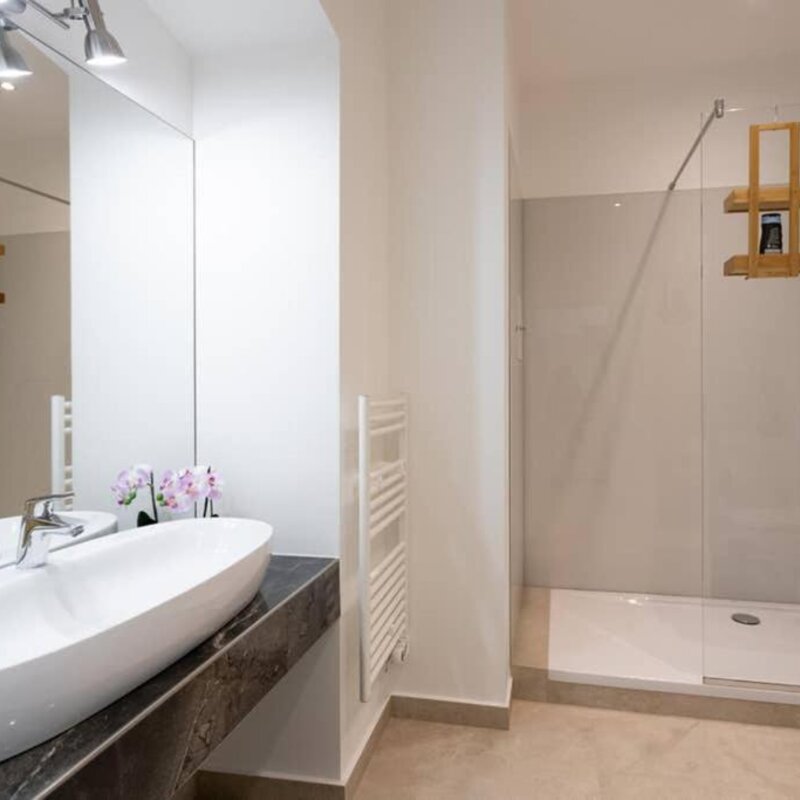 Badezimmer mit walk in Dusche 