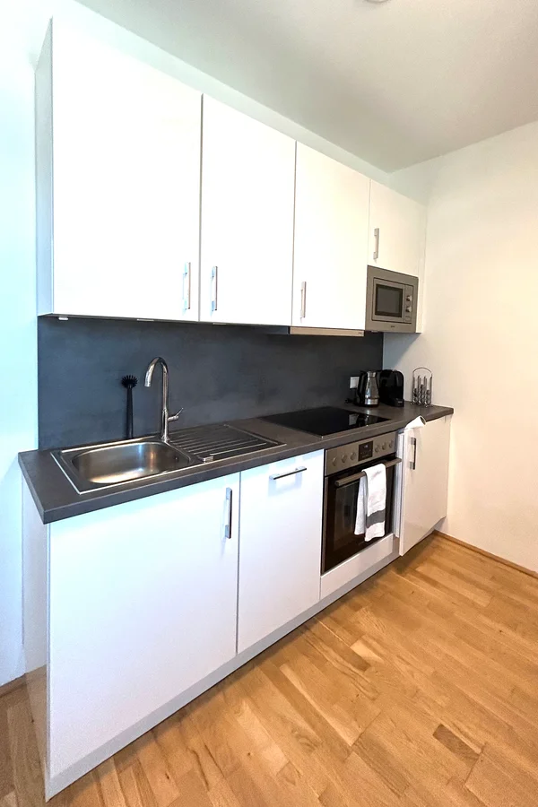 Voll ausgestattete Küche von Geschirrspüler bis Mikrowelle